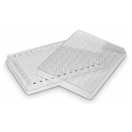 Microplaca Para Cultura Celular Com 96 Orifícios Estéril Microplaca Para Cultura Celular Com 96 Orifícios Estéril