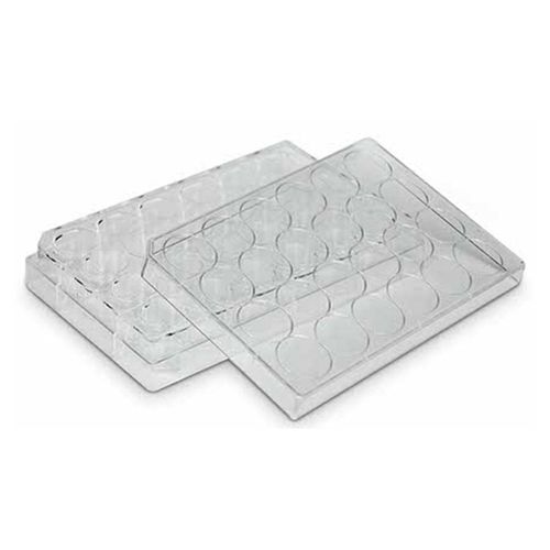 Microplaca Para Cultura Celular Com 24 Orifícios Estéril Microplaca Para Cultura Celular Com 24 Orifícios Estéril