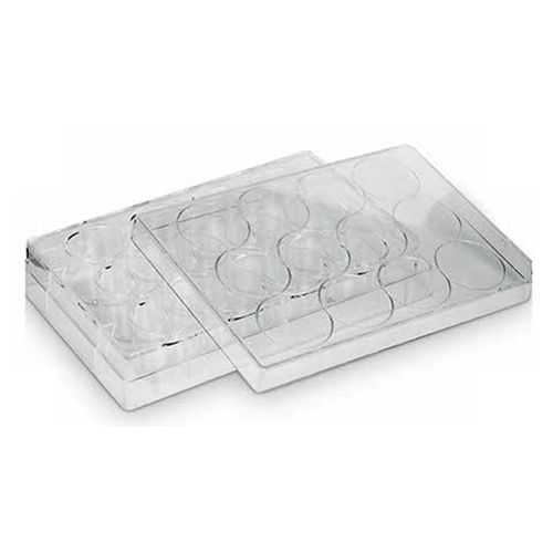 Microplaca Para Cultura Celular Com 12 Orifícios Estéril Microplaca Para Cultura Celular Com 12 Orifícios Estéril