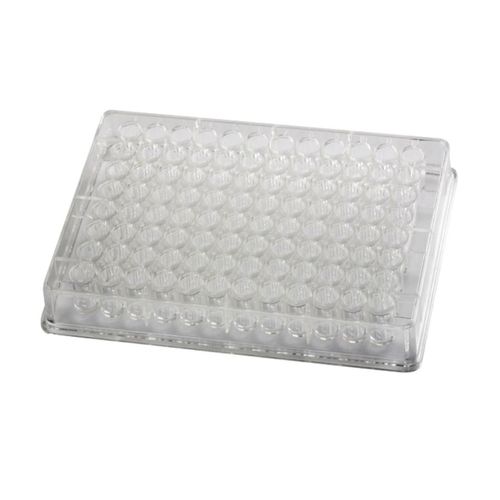 Microplaca Fundo Microplaca Fundo