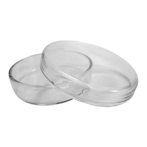 Placa de Petri de Vidro 100X15mm cx/10 un Placa de Petri de Vidro 100X15mm cx/10 un