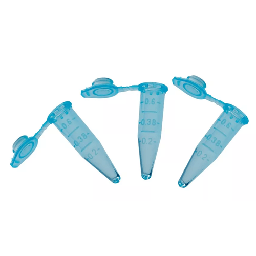 imagem-we16-a-1 imagem-we16-a-1