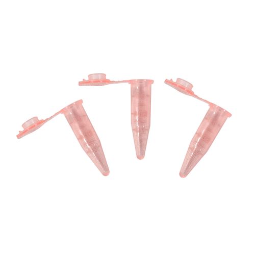 imagem-WE16-R-2 imagem-WE16-R-2