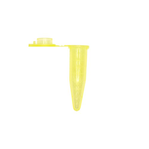 imagem-we9-a1-1 imagem-we9-a1-1