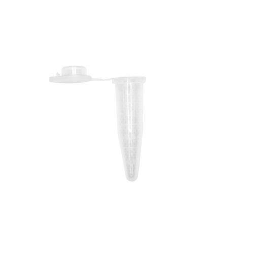 imagem-we9-1 imagem-we9-1