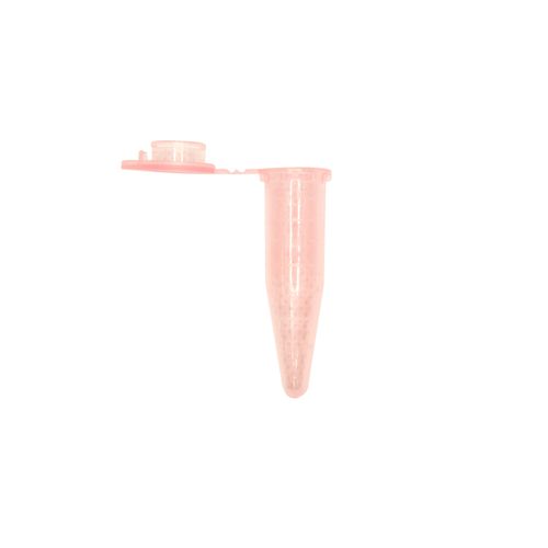 imagem-we9-r-1 imagem-we9-r-1