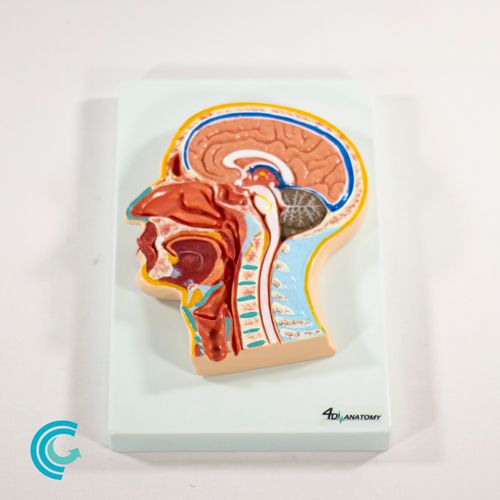 imagem-4d-319-2 imagem-4d-319-2