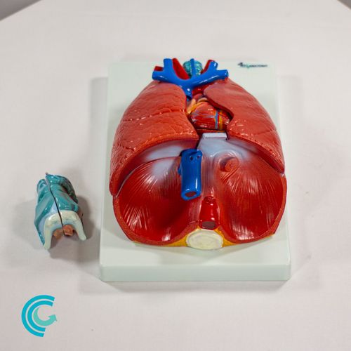 imagem-4d-320-3 imagem-4d-320-3