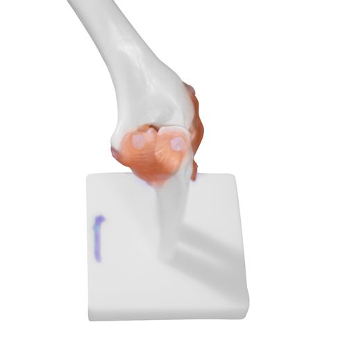 imagem-4d-112-1 imagem-4d-112-1