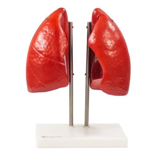 imagem-4d-321-1