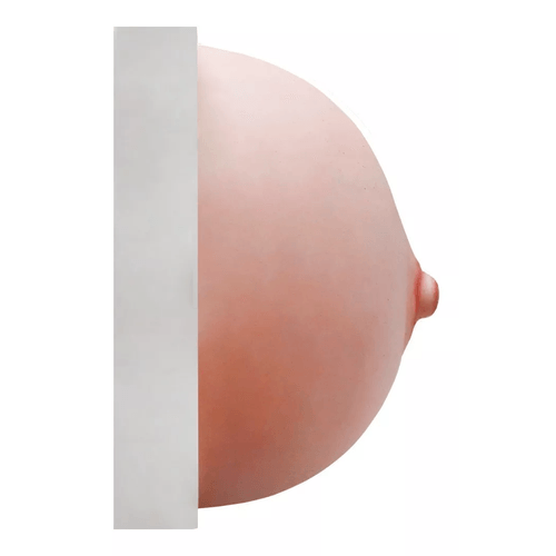 imagem-4d-418b-1 imagem-4d-418b-1