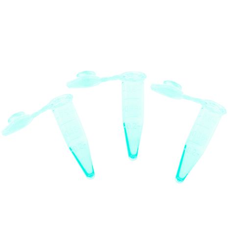 imagem-WE16-v-1 imagem-WE16-v-1