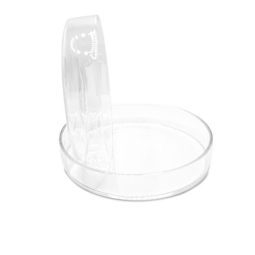 imagem-18250-BCX-1 imagem-18250-BCX-1