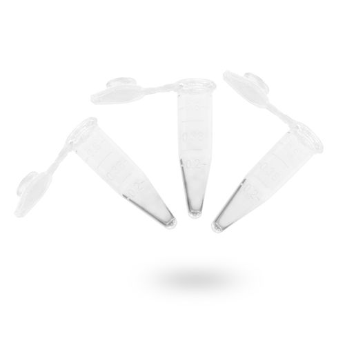 imagem-we16-1 imagem-we16-1