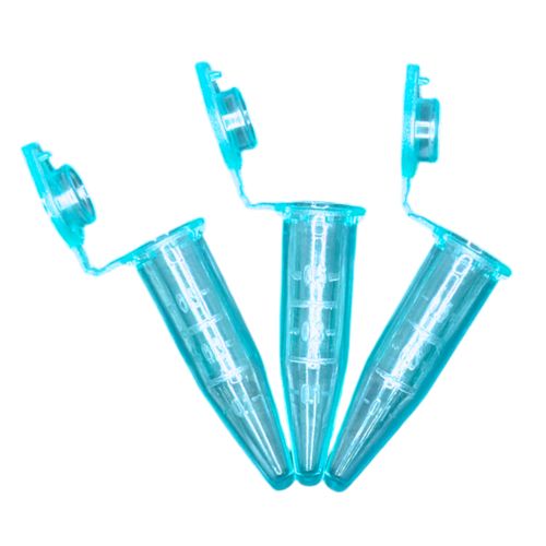 WE11-A2-01 WE11-A2-01