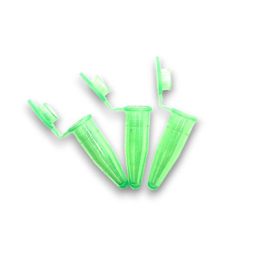 WE12-VD-01 WE12-VD-01