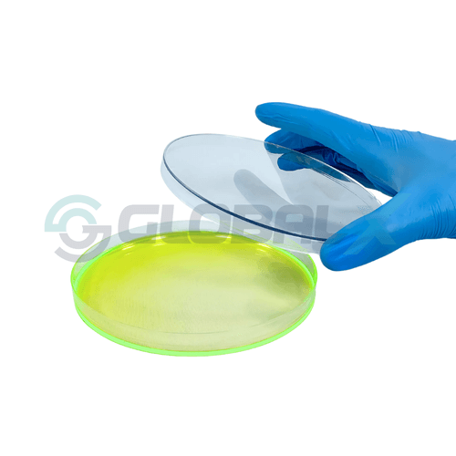 PlacaPetri-XPlast-18140A-Amostra-Tampa-Aberto.png PlacaPetri-XPlast-18140A-Amostra-Tampa-Aberto.png