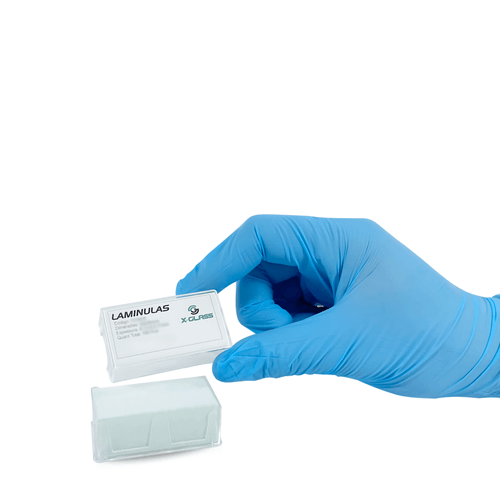 LaminulaVidroMicroscopia-XGlass-CaixaComLaminulas-MaoComLuvaAzul LaminulaVidroMicroscopia-XGlass-CaixaComLaminulas-MaoComLuvaAzul