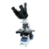 Microscopio-NewOptics-NW126T-VisaoLateral-AjusteGrosseiroFino