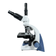 Microscopio-NewOptics-NW126T-CabecoteTrinocular-DetalheCCDLinker