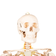 cranio-anatomico-frontal-esqueleto-humano