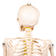 cranio-coluna-cervical-posterior