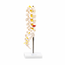 coluna-vertebral-lombar-vista-lateral
