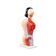 torso-feminino-42cm-15-pecas-visao-lateral-esquerda