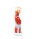 mini-torso-humano-26cm-visao-lateral