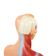 mini-torso-humano-26cm-detalhe-pescoco