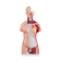 torso-45cm-bissexual-frontal