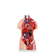 torso-45cm-bissexual-interno