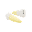 modelo-dente-humano-ampliado-3-tipos-desmontado