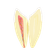 modelo-dente-humano-ampliado-com-nervos-e-raizes