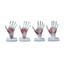 modelo-anatomia-palma-da-mao