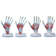 modelo-anatomico-palma-da-mao