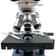 objetivas-acromaticas-microscopio-trinocular
